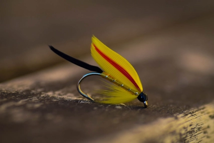 Colonel Fuller Colonel Fuller