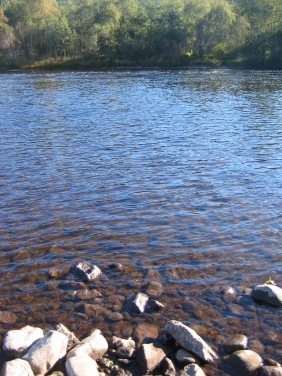 Caddis water Caddis water