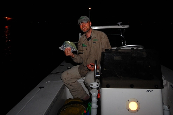 King of the moonfish - image King of the moonfish - image