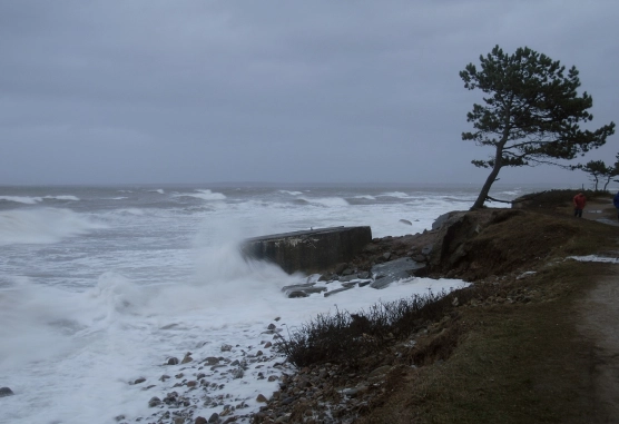 Yes, we have wind too! - image Yes, we have wind too! - image