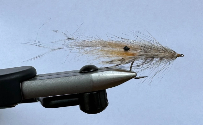 Fyn'ish Shrimp Fyn'ish Shrimp