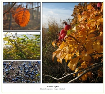 A magazine block from GFF A magazine block from GFF