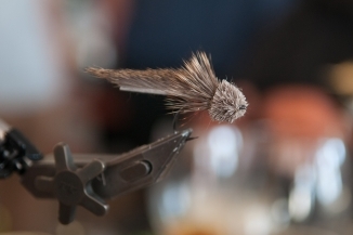 The Sick Lemming The Sick Lemming