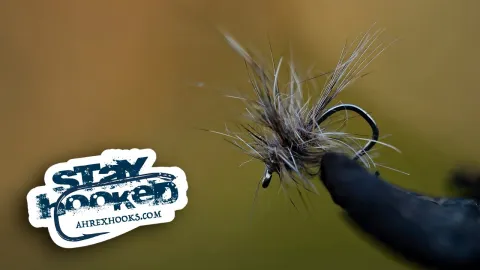 Video thumb for Emma