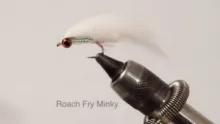 Video thumb for Roach Fry
